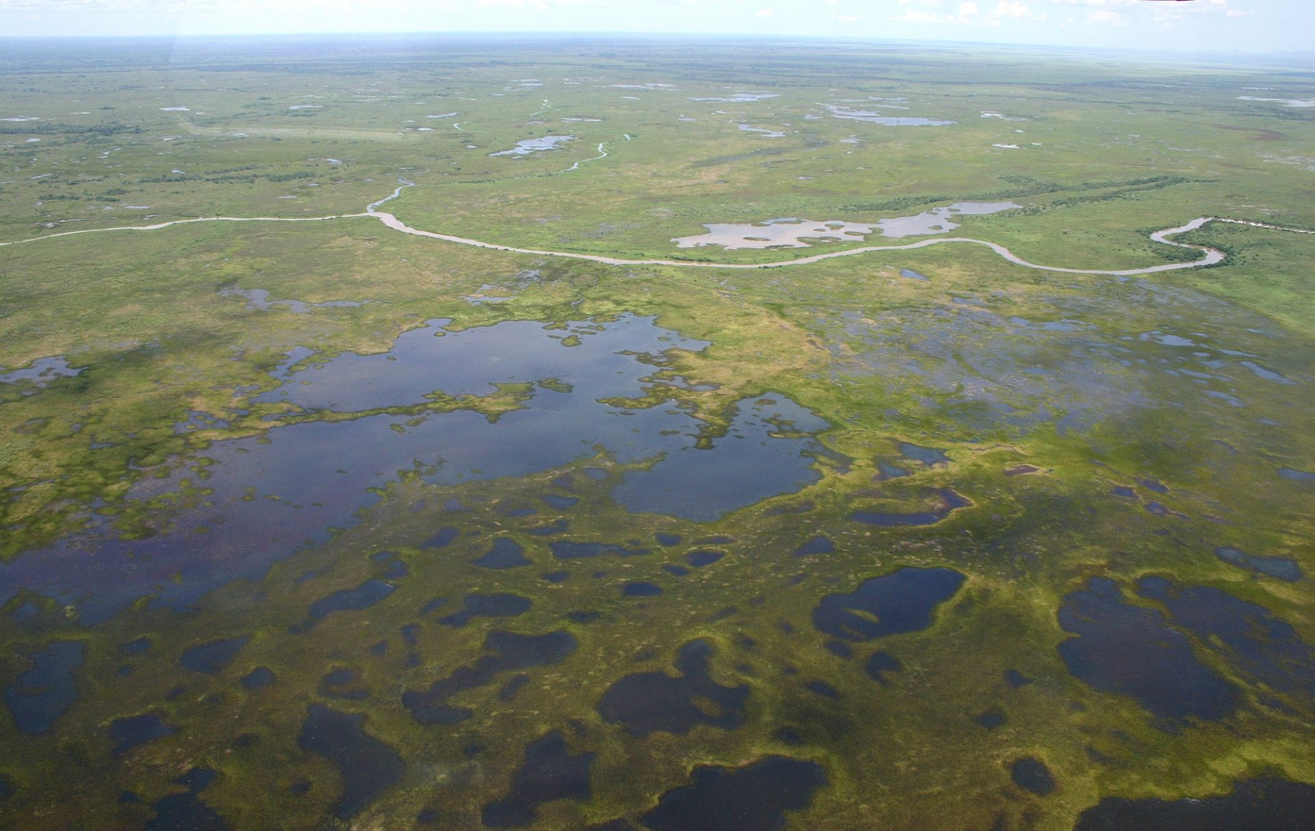 Governo de MS e especialistas debatem conservação ambiental, agronegócio sustentável e inovação tecnológica no Pantanal