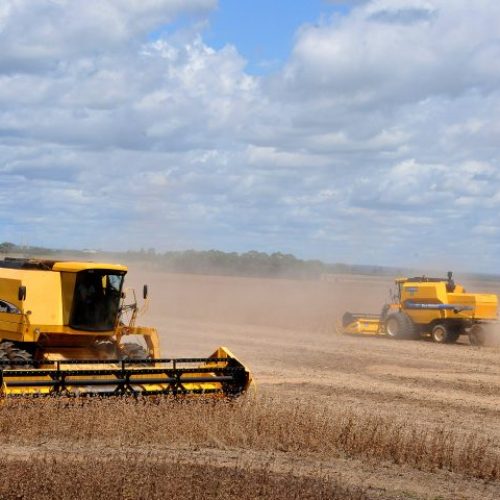 Valor Bruto da Produção agropecuária em Mato Grosso do Sul soma quase R$ 60 bilhões no ano