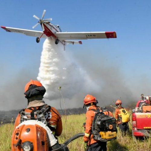 Governo de MS declara situação de emergência em cidades afetadas por incêndios florestais