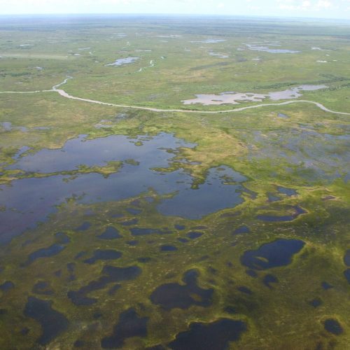 Governo de MS e especialistas debatem conservação ambiental, agronegócio sustentável e inovação tecnológica no Pantanal